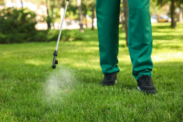 Pest Control for Restaurants in Fruitville, FL