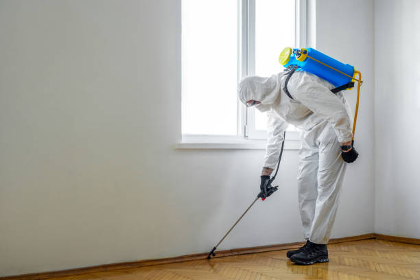 Best Wasp Removal Services  in Fruitville, FL