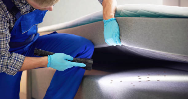 Best Emergency Pest Control  in Fruitville, FL