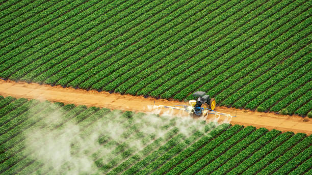 Best Best Pest Control Companies  in Fruitville, FL