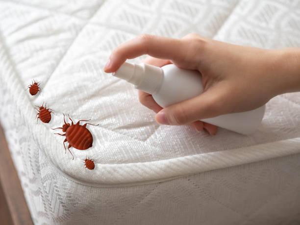 Best Affordable Pest Control Services  in Fruitville, FL