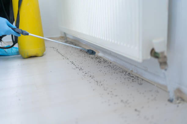 Best Termite Control Services  in Fruitville, FL