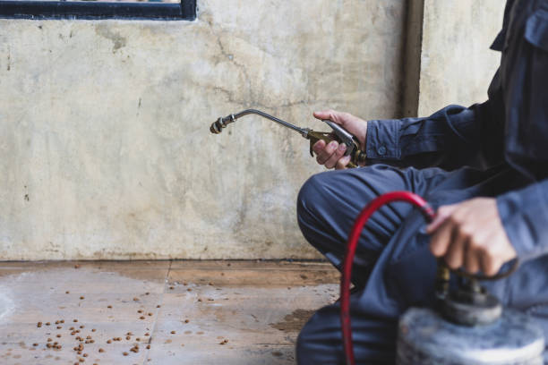 Best Best Pest Control Near Me  in Fruitville, FL