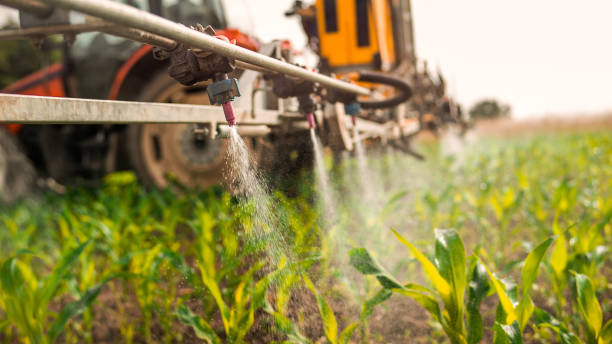 Best Mosquito Control Services  in Fruitville, FL